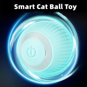 Balle à chat électrique à roulement automatique